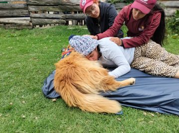 CANINOTERAPIA (3)